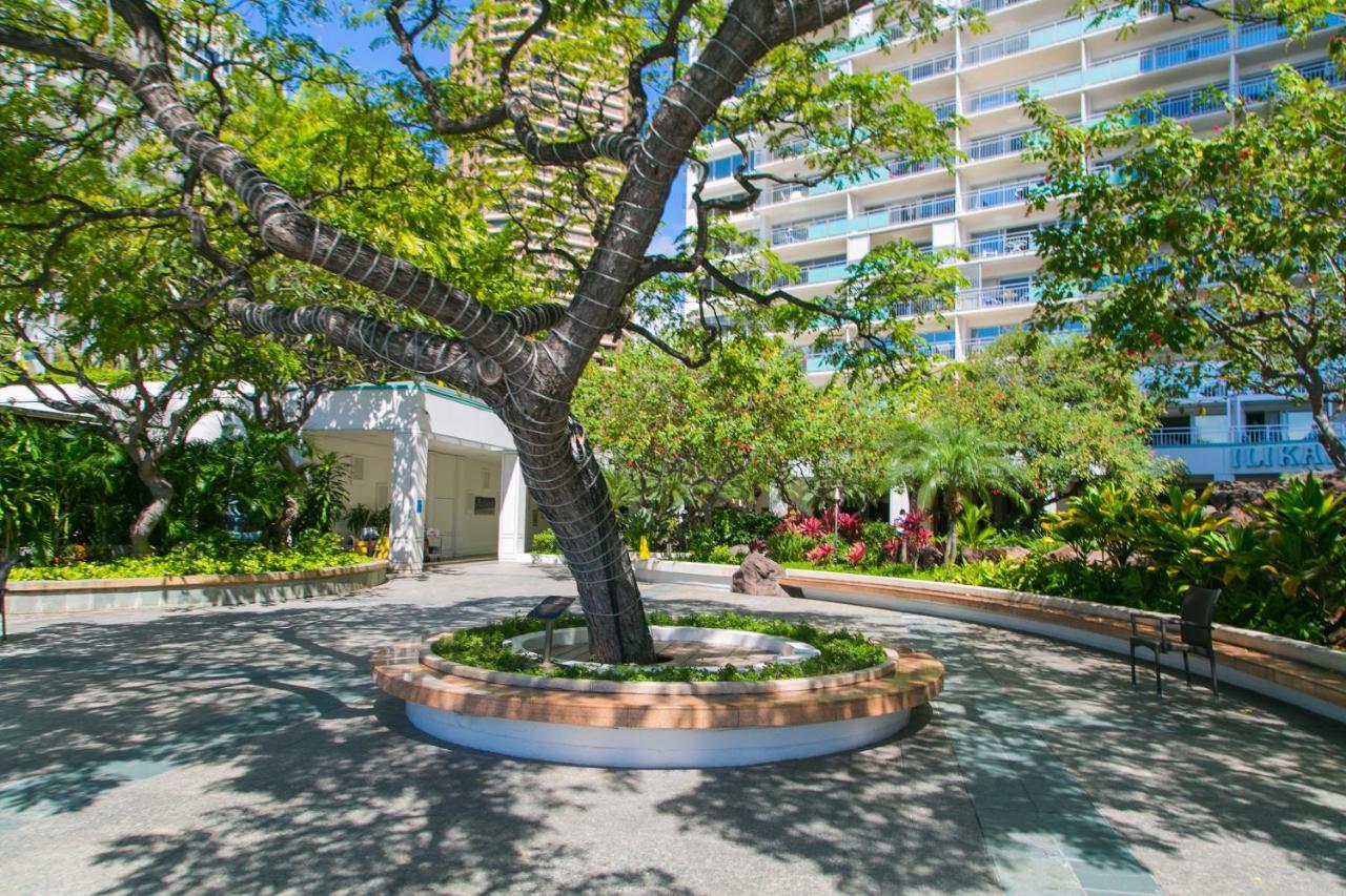Ilikai Tower 1538 Lagoon View 1Br Honolulu Eksteriør bilde